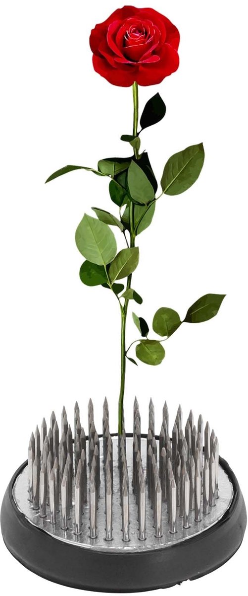 JHUBERS- Bloemenkikker Roestvrij Staal 50 mm - Kikkers met Stift - Bloemstukken - Tafelopzetstukken - Knutselwerk - Duurzaam Ontwerp - Bloemschikking