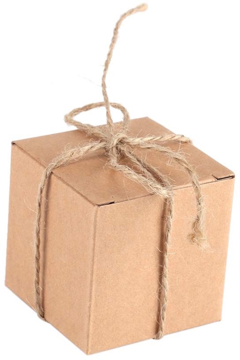 Dailygoods- Geschenkdozen met deksel - 50 stuks - Mini vierkante doosjes - Kraftpapier - Henneptouw - Retro elegant uiterlijk - Snoepdozen