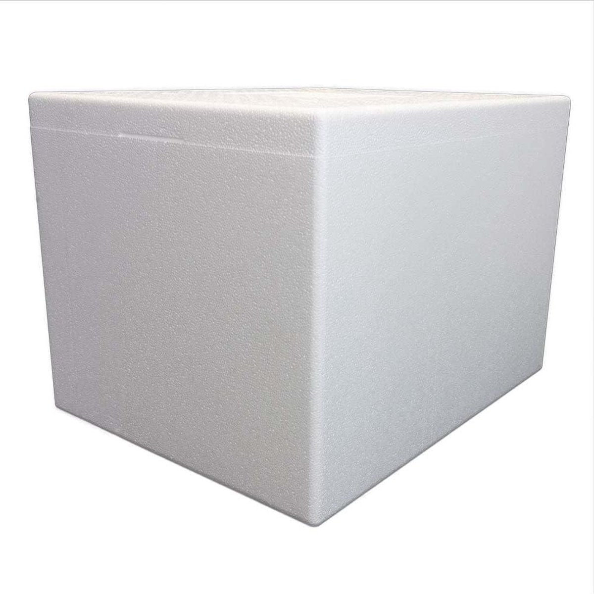 Styrofoam box/thermobox - 60 litres - 57 x 45 x 41 cm/wall thickness 4 cm - styrobox