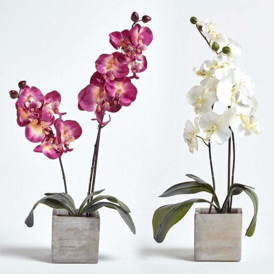 Kunstorchideeën Set - Faux Orchideeën - Binnenhuisdecoratie - UV-bescherming - 57 cm Hoog - Bordeaux & Wit