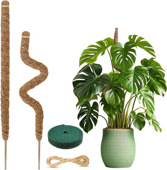 Bendbare Mosstokken voor Planten, Handgemaakte Kokos Mosspaal met Steunen en Touwen, Ideaal voor Klimplanten om Rechtop te Groeien (60 cm)