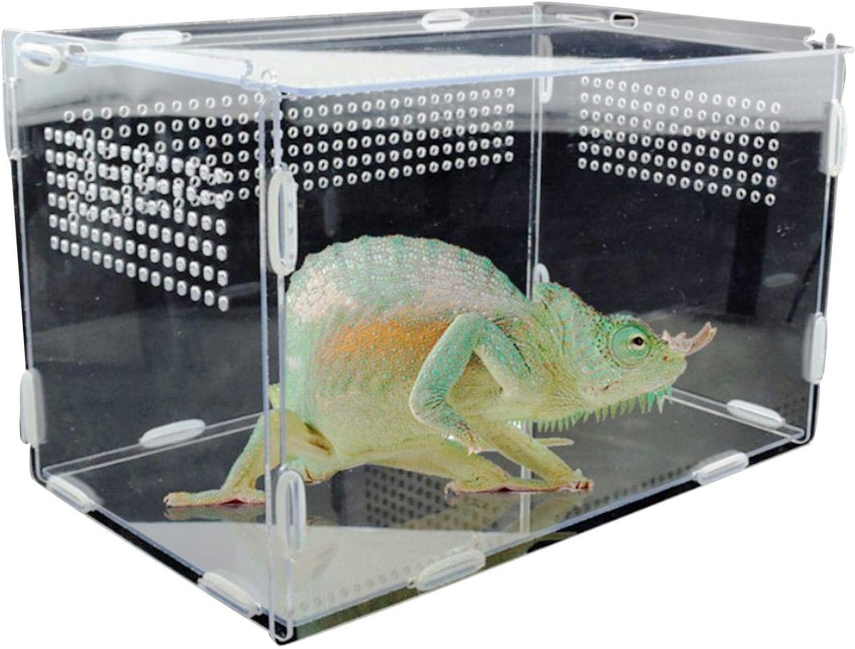 Reptielen Terrarium - Voederbox Insectenhouder - Huisdieren Huisvesten - Transparant Acryl Ontwerp - XL 335 x 18 x 20 cm