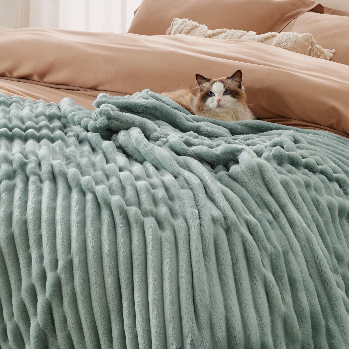 Dailygoody - Behaaglijke deken - Zachte fleecedeken - Comfortabele knuffeldeken - Groen - XXL formaat - Perfect voor bank en bed - 240 x 220 cm