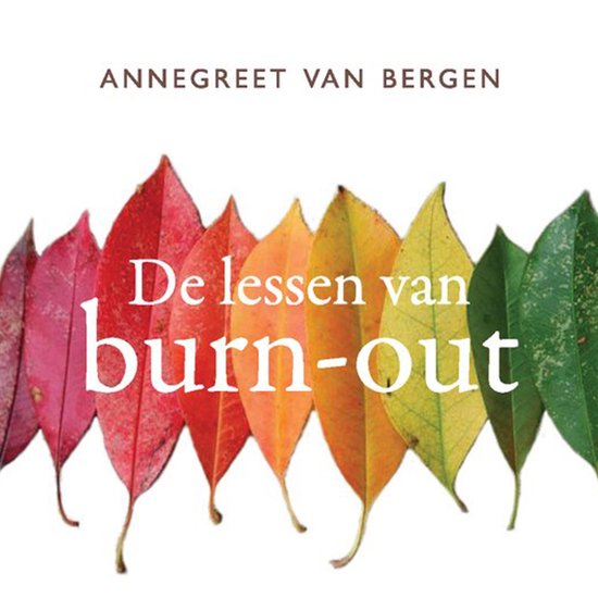 De lessen van burn-out - cover
