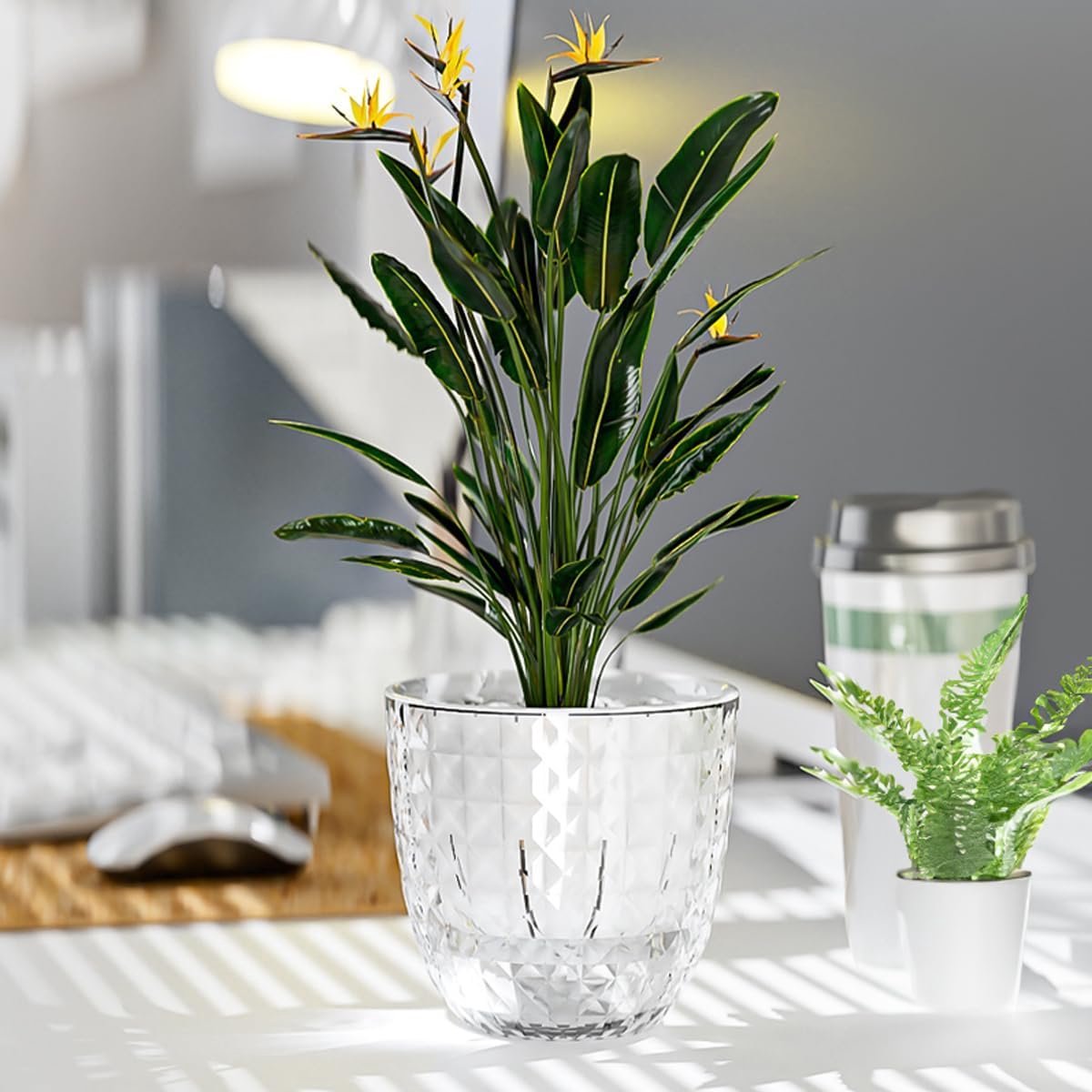 KZQ Zelfwaterende Bloempotten Set van 2, 10cm met Afvoergaten en Onderzetter, Moderne Kunststof Plantenpotten voor Binnen, Geschikt voor Vetplanten, Kruiden en Cactus — cadeau in Wonen & Interieur - foto 6