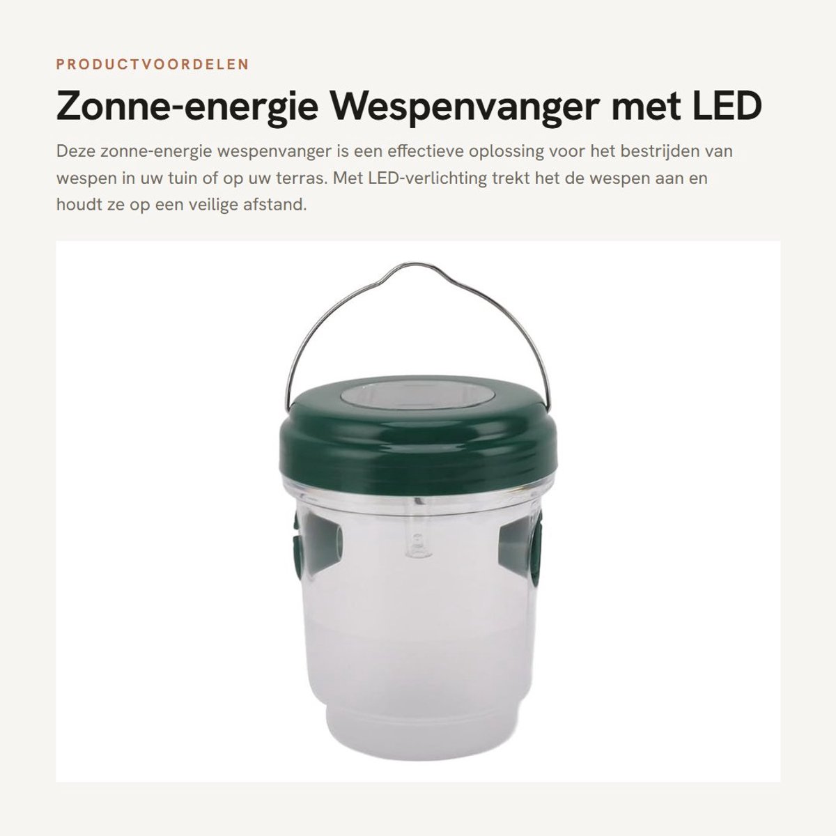 Dailygoods - Zonne-energie Wespenvanger met LED Verlichting