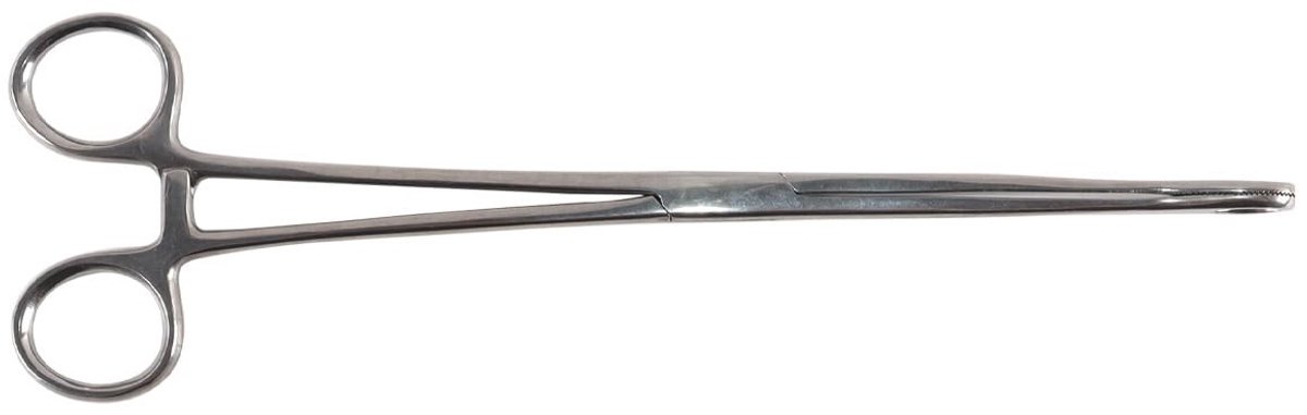 Dailygoods - Reptielen Voedertang van Roestvrij Staal 25 cm