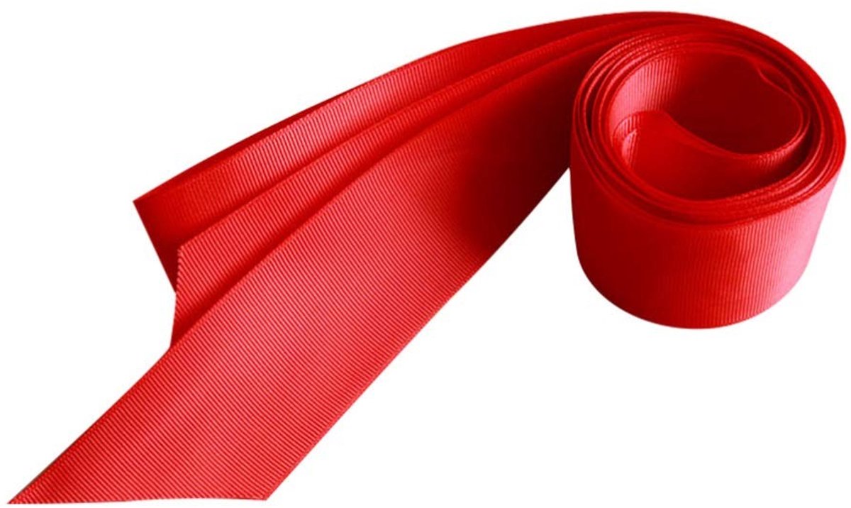 Dailygoods- Bruidssatijnen Riem - Klassieke Tailleriem - Sjerp voor Vrouwen - Bruidsdecoratie - Speciale Gelegenheid - Paars - 270x4cm