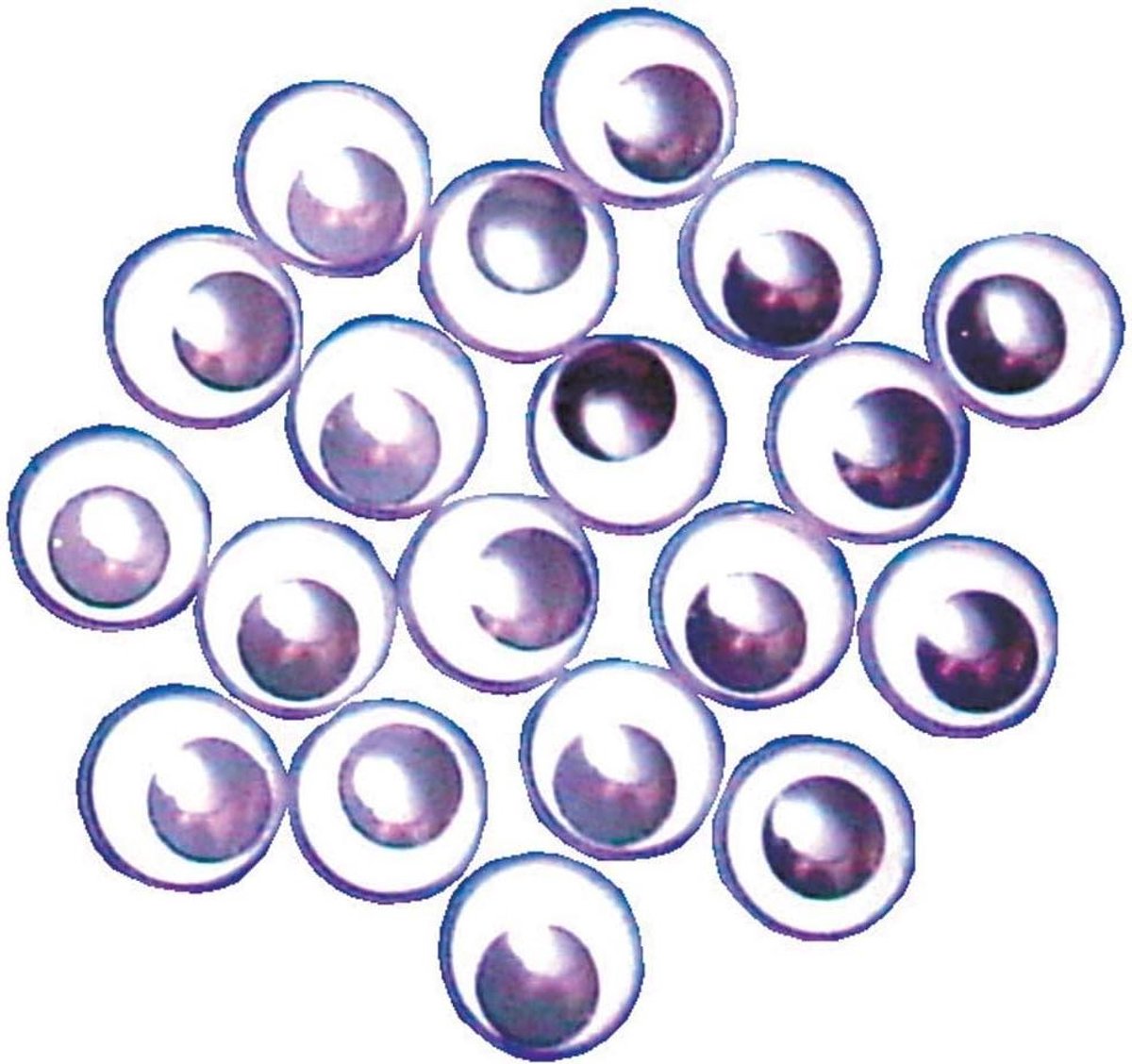 Bewegende Oogjes Set - Knutsel Ogen - Creatief Hobbywerk - Zelfklevend - 12 Mm - Zwart Wit