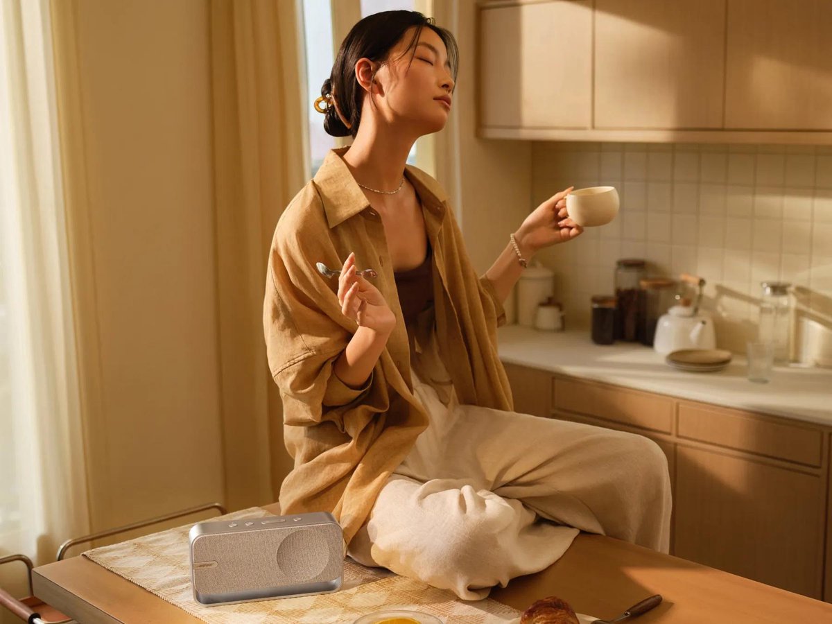 Bose SoundLink Home - Bluetooth Speaker - Zilver – foto 8