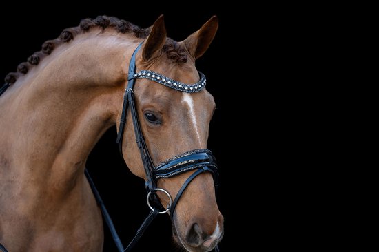 HB Hoofdstel It is So Special Zwart-Zwart - Full | Rood | Hoofdstel paard HB Hoofdstel It is So Special Zwart-Zwart - Full | Rood | Hoofdstel paard