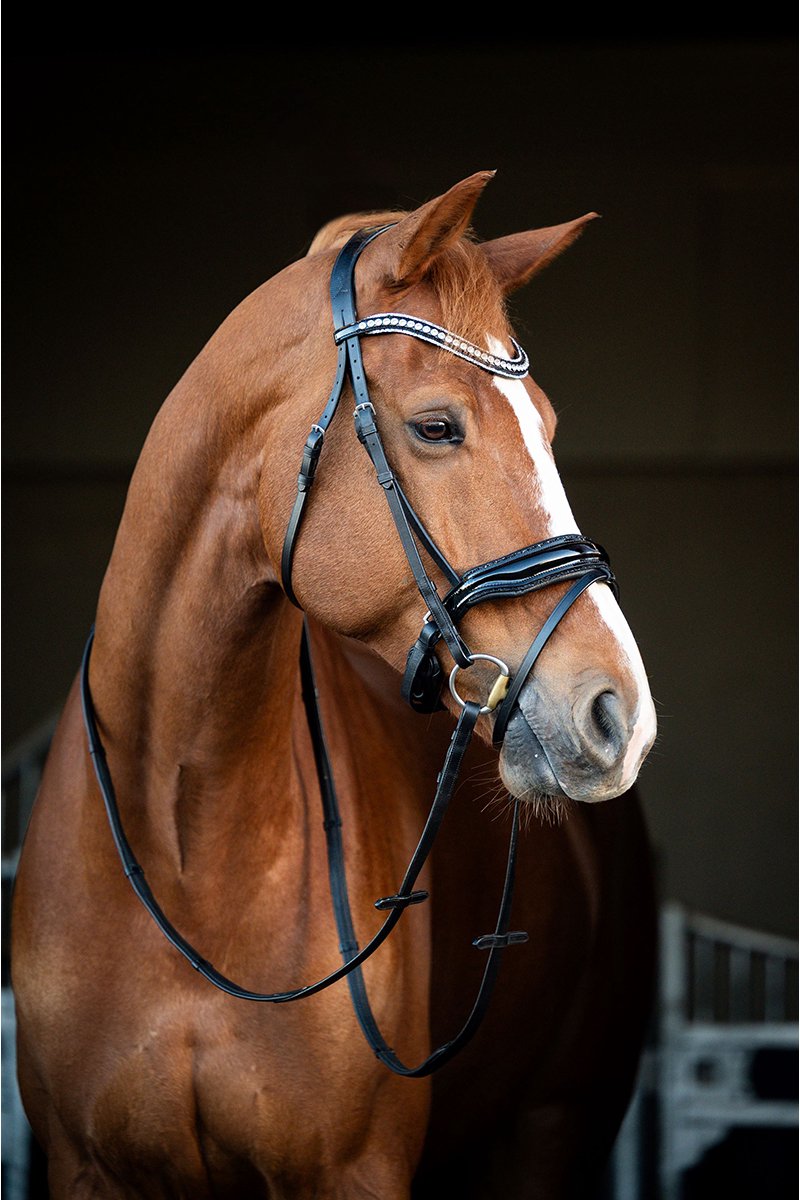 HB Showtime Hoofdstel Snowflake-Black-Cob