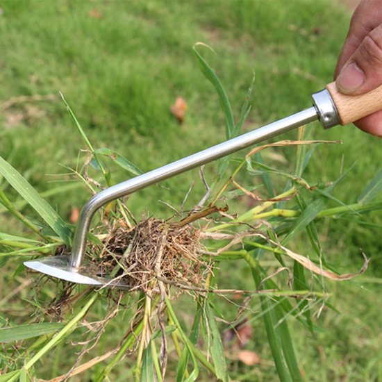 Onkruidverwijderaar met M-vormige klauw, onkruidverwijderaar, onkruidgereedschap, paardenbloemtrekker, onkruidverwijderaar voor de tuin, tuingereedschap met harde, stevige klauwen — afbeelding 3