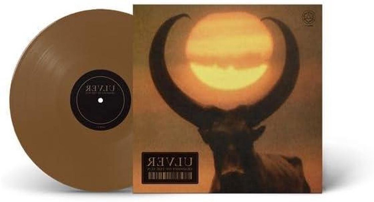 Muziek Album - Vinyl LP - Muziek Luisteren - Klassieke Geluidskwaliteit - 32 cm - Zwart