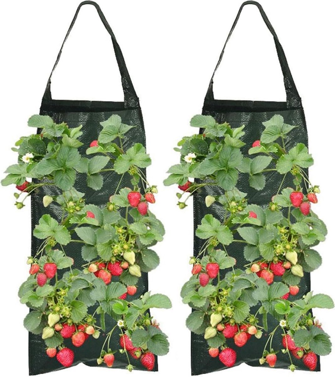 Twee aardbeienplantzakken per verpakking, 8 gaten per zak, duurzaam en ademend, geschikt om op te hangen, met handvatten, ideaal Geschikt voor het planten van planten/kruiden/bloemen.
