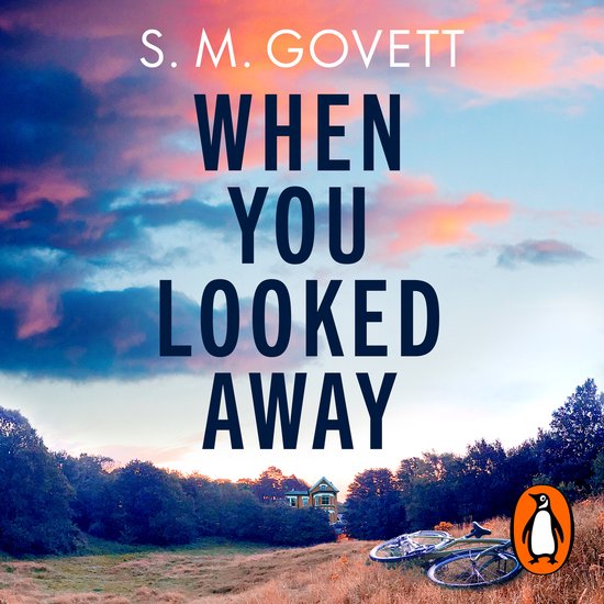 The DI Stratton Series2- When You Looked Away