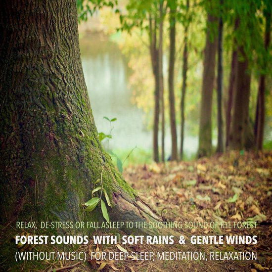 Forest Sounds with Soft Rains & Gentle Winds (without music) ... - cover