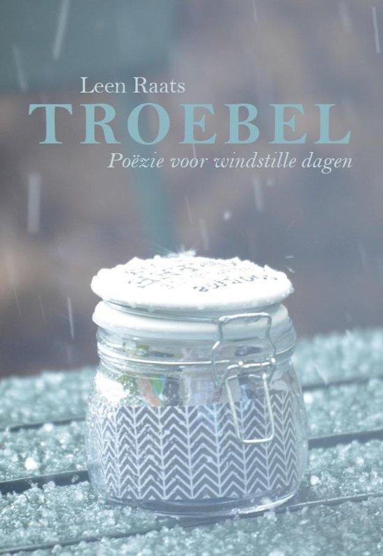 Boekomslag met een glazen pot met het opschrift 'TROEBEL'. Regen valt.