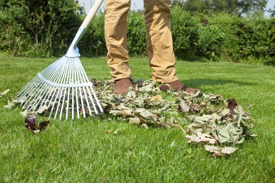 Hendrik Jan Verzinkte bladhark 440 mm met 22 tanden, essenhouten steel 150 cm en FSC-keurmerk van Merkloos	 — afbeelding 3