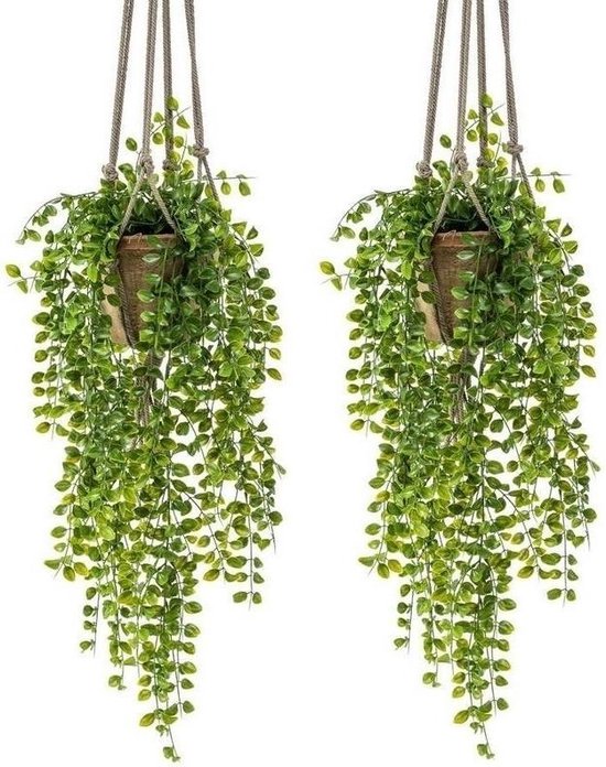 laten we het doen slagader Expliciet 2x Kunstplant hangplant Ficus in pot met touwen 16 cm -  Nepplanten/kunstplanten | bol.com