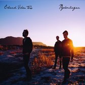 Erlend Viken Trio - Nykomlingen (LP)