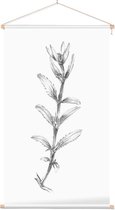 Rozentak zwart-wit Schets (Rose Branch) - Foto op Textielposter - 40 x 60 cm
