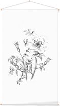 Duinroos zwart-wit Schets (Burnet-Leaved Rose) - Foto op Textielposter - 60 x 90 cm