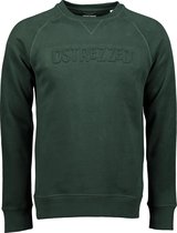 Dstrezzed Sweater Met Logo Groen (211336 - 513)