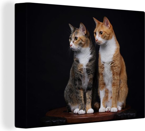 Canvas Schilderijen - Twee katten op achtergrond - 40x30 cm - Wanddecoratie | bol.com