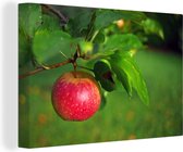Canvas Schilderij Fruit - Appel - Boom - 120x80 cm - Wanddecoratie