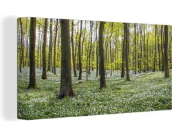 Grote wanddecoratie - Foto van bos in de lente op Canvas | FotoCadeau - 200x100 cm - XXL decoratie