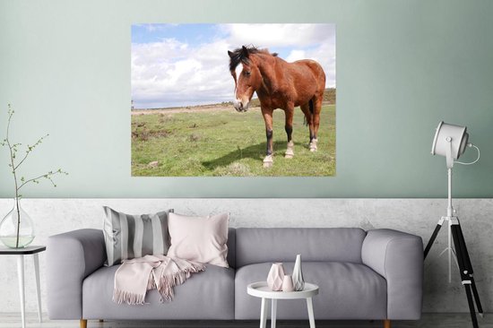 Poster Cheval se dresse dans l'herbe 180x120 cm - Tirage photo sur Poster (décoration murale salon / chambre) / Poster Animaux XXL / Groot format!
