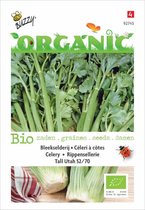 Buzzy Organic - Bleekselderij Tall Utah 52/70 (BIO)
