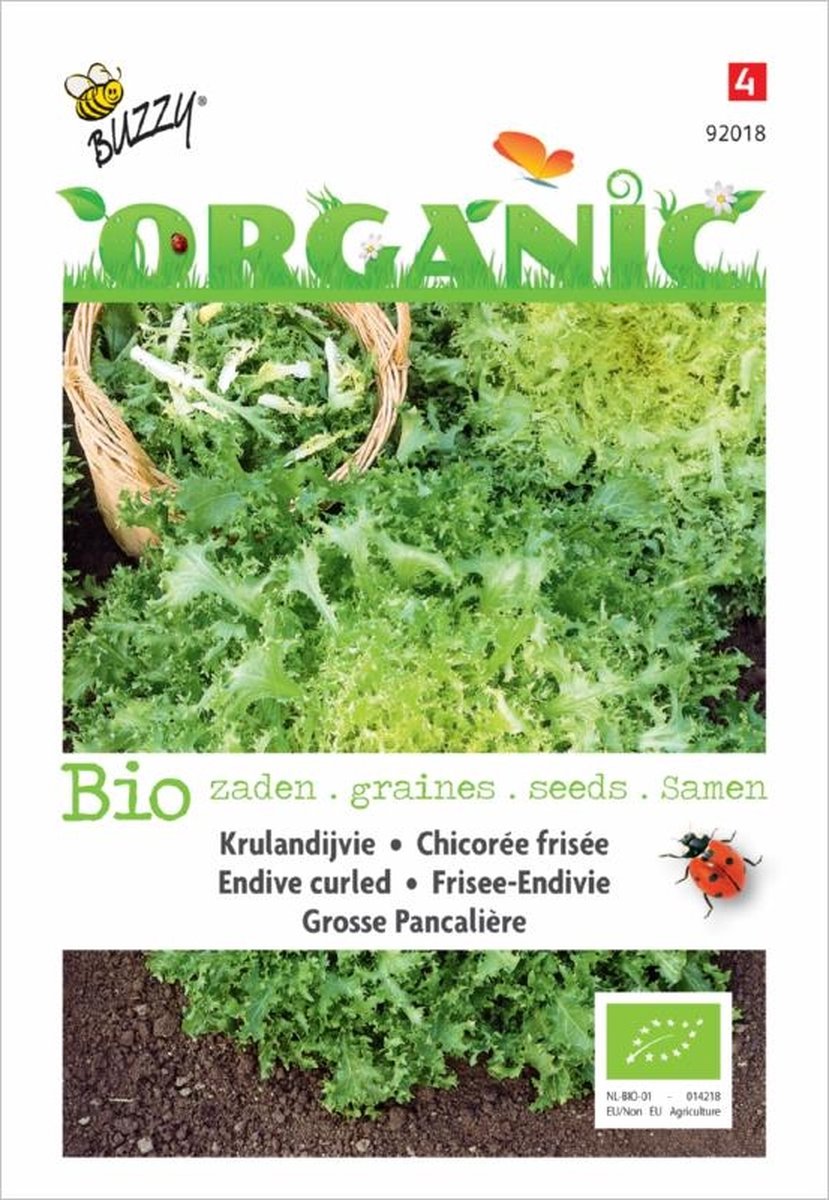 Buzzy® Organic Krulandijvie Pancalière (BIO)