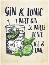 Cocktails Poster Gin Tonic Lime - 30x40cm Canvas - Multi-color