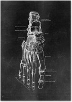 Anatomy Poster Feet Black - 60x80cm Canvas - Multi-color
