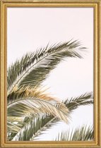 JUNIQE - Poster met houten lijst Oasis Palm 3 -60x90 /Groen