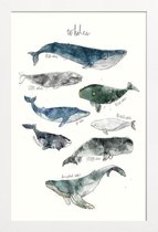JUNIQE - Poster in houten lijst Walvissen illustratie -60x90 /Blauw &