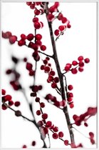 JUNIQE - Poster in kunststof lijst Red Berries 1 -20x30 /Rood & Wit