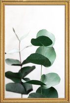 JUNIQE - Poster met houten lijst Eucalyptus 5 -20x30 /Groen & Wit