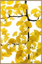JUNIQE - Poster met kunststof lijst Ginkgo -60x90 /Bruin & Geel