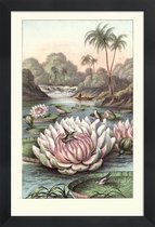 JUNIQE - Poster in houten lijst Water Lily -20x30 /Grijs & Groen