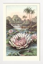 JUNIQE - Poster in houten lijst Water Lily -40x60 /Grijs & Groen