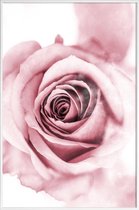 JUNIQE - Poster in kunststof lijst Roze pioenroosblaadjes -60x90 /Roze