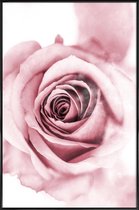 JUNIQE - Poster in kunststof lijst Roze pioenroosblaadjes -20x30 /Roze