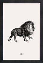 JUNIQE - Poster met houten lijst Lion -13x18 /Grijs & Ivoor