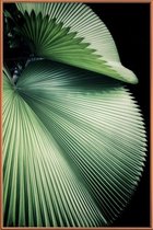 JUNIQE - Poster met kunststof lijst Sharp Palm -30x45 /Groen