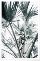 JUNIQE - Poster Beach Palm Fruits -20x30 /Grijs & Groen