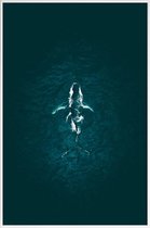 JUNIQE - Poster in kunststof lijst Humpback Breach -60x90 /Turkoois