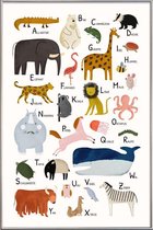 JUNIQE - Poster met kunststof lijst Tiere von A bis Z -20x30